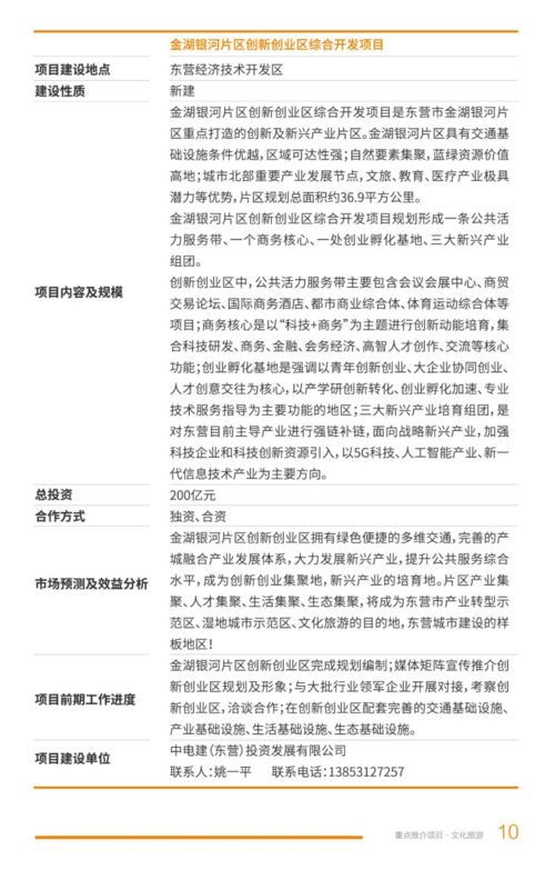 2021年?yáng)|營(yíng)市文化旅游項(xiàng)目開(kāi)發(fā)策劃咨詢(xún) 賦能黃河入海，打造文旅新名片