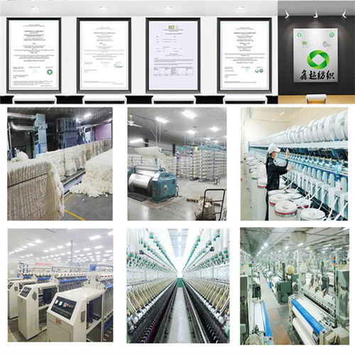 揭陽有機棉帆布廠家 鑫超紡織品以合理價格與專業(yè)技術(shù)引領(lǐng)市場